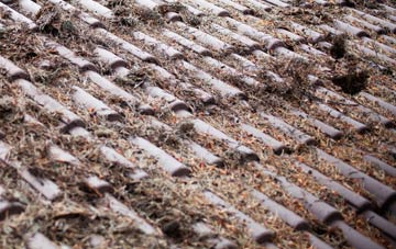 Upper Nash roof cleaning companies